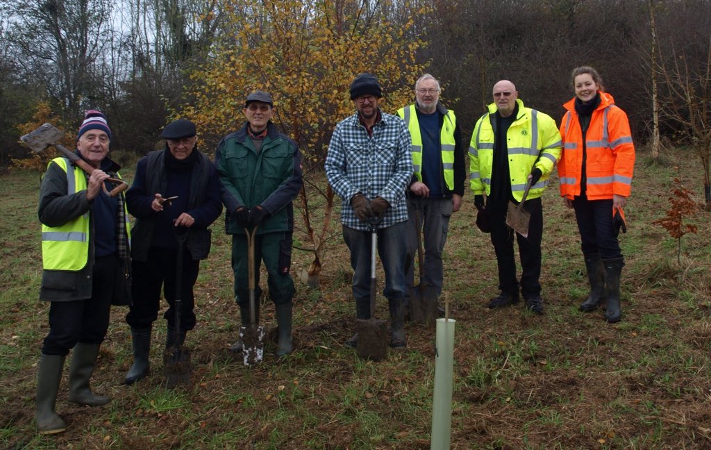 Tree planting